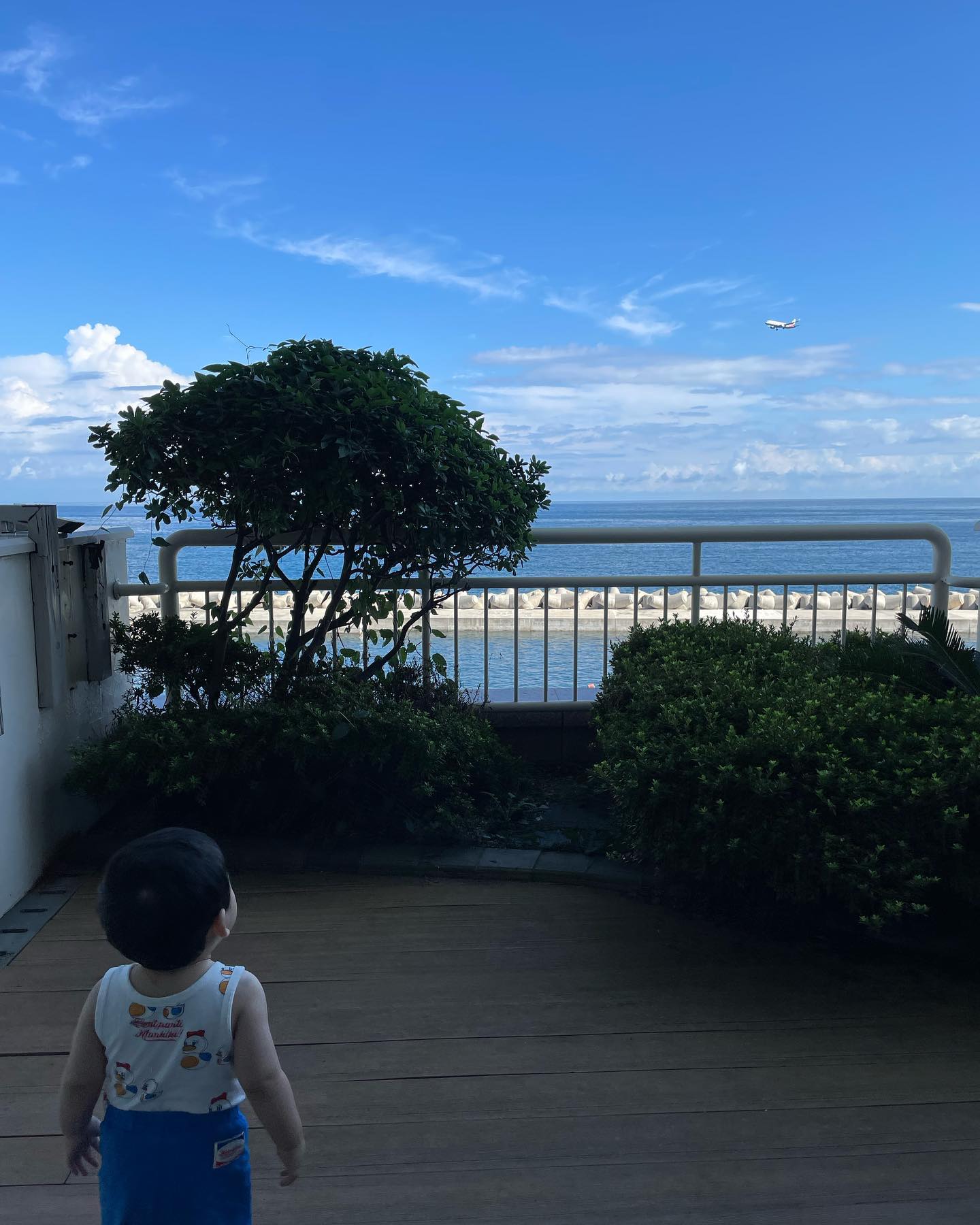 #✈️ 

연애 때 한번, 신혼 때 한번,
이제는 셋이 되어 놀러 온 제주