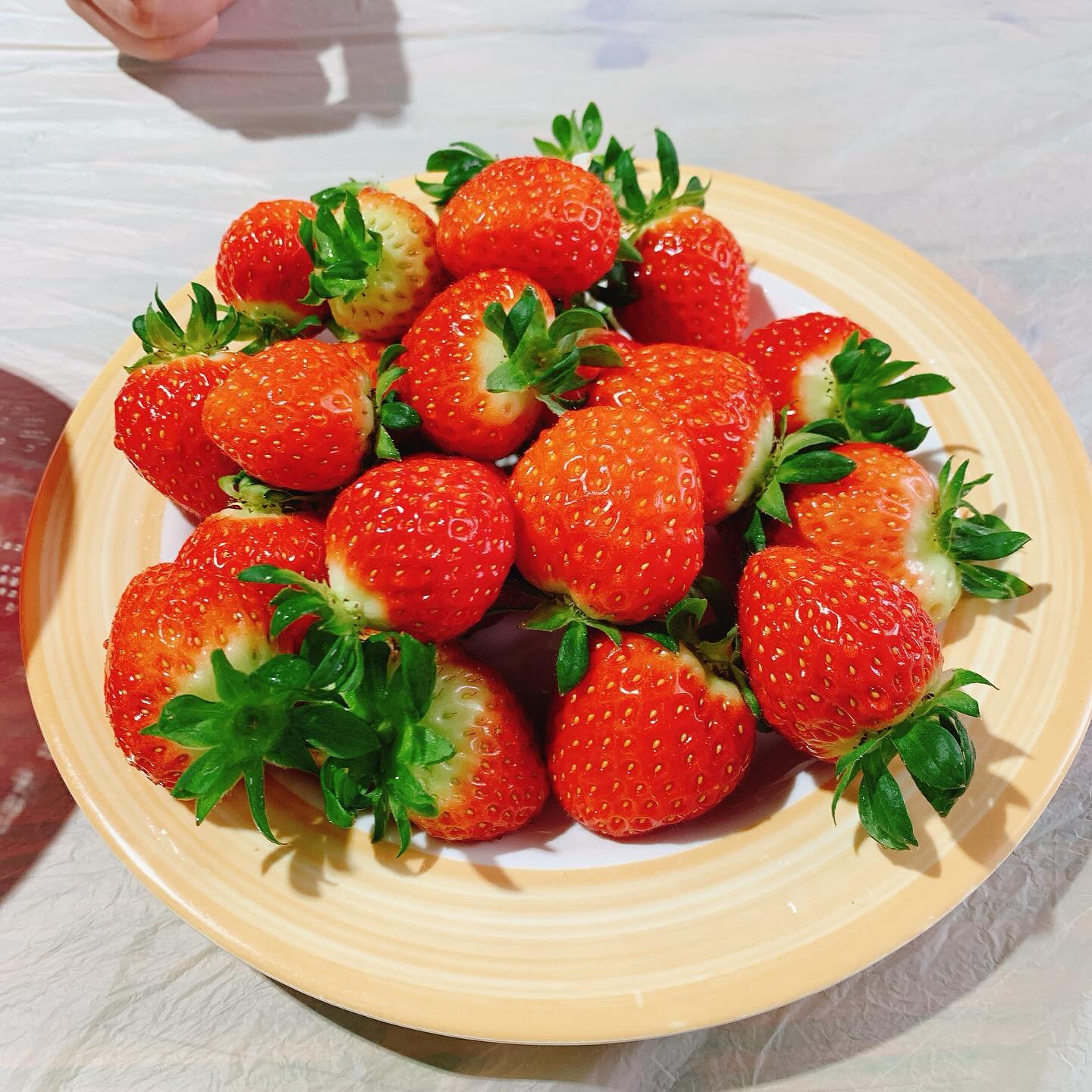 올해도 딸기체험 🍓🍓
달달한 딸기퐁듀도 만들기👨‍👩‍👧‍👧🖤