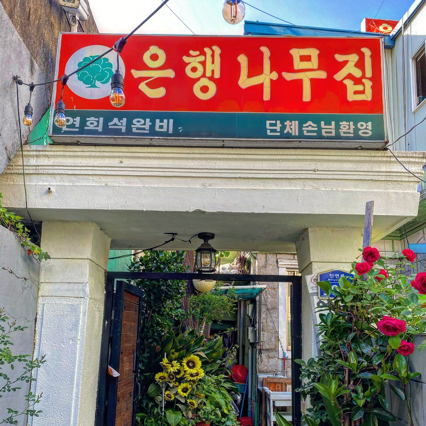 연산동 시청 은행나무집
시청 바로 뒷 편. 역세권 시청 밥집 ^^
고등어쌈밥정식 먹어보았다. 쌈 종류는 많지는 않지만 푸짐했고, 반찬도 다양. 된장찌개는 집된장 스타일의 꽃게 베이스에 야채도 많이 들어가 있었고, 묵은지 고등어는 양념이 고등어에 콕콕 잘 베여있는게 완전 밥도둑....🫢
마지막으로 식혜한잔 마무히.
사장님도 완전 친절하셨다. 브레이크 타임인데도 받아주시고 ( 약간 유동적으로 하신다함 ) 모자란 반찬은 언제든지 말하면 주시겠다고 하시고 완전 친절...👍
.
.
.
#예동_은행나무집
#예동_연산동
#예동맛집
#은행나무집 #부산시청 #부산시청밥집 #부산시청맛집 #연산동밥집 #연산동맛집 #연산동점심 #부산연산동 #부산연산동맛집 #부산시청역맛집 #연산역맛집 #연산역밥집 #연산로타리밥집 #연산동