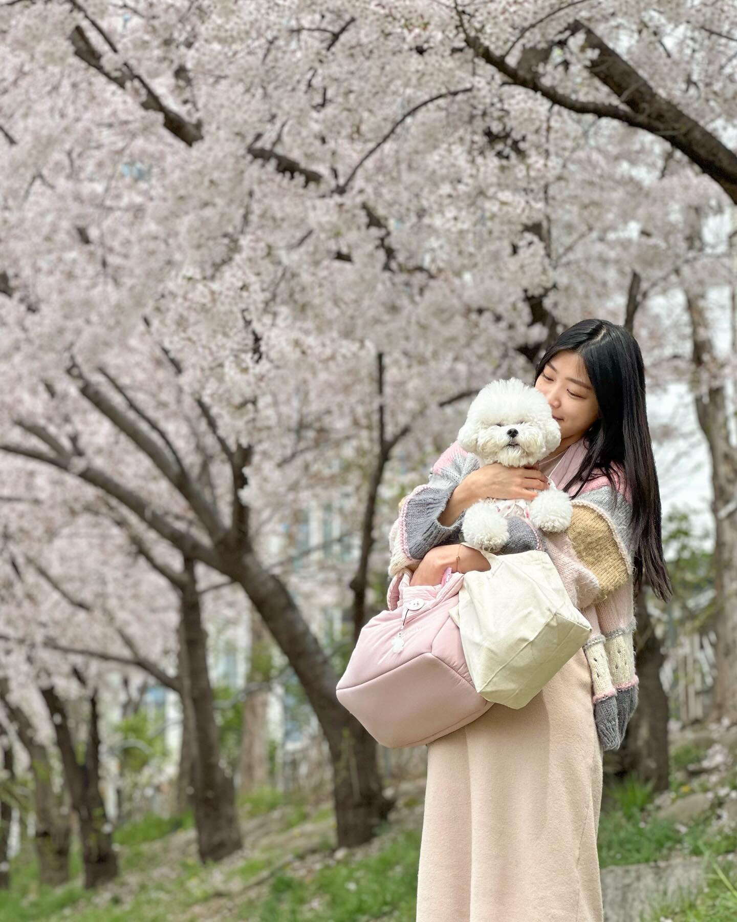 새벽이랑 보내는 두번째 봄🌸🩷