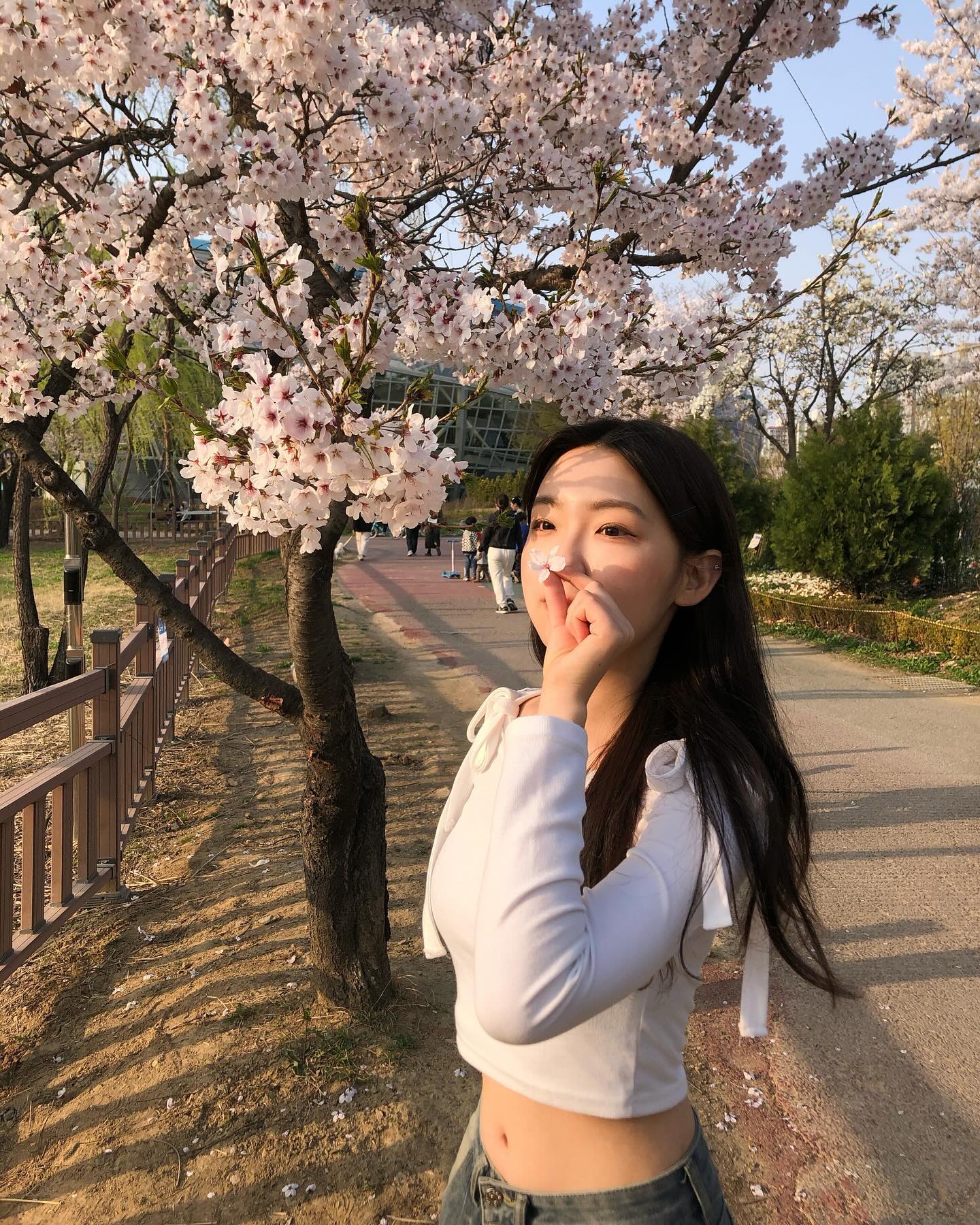 벚꽃 찍먹 냐밍