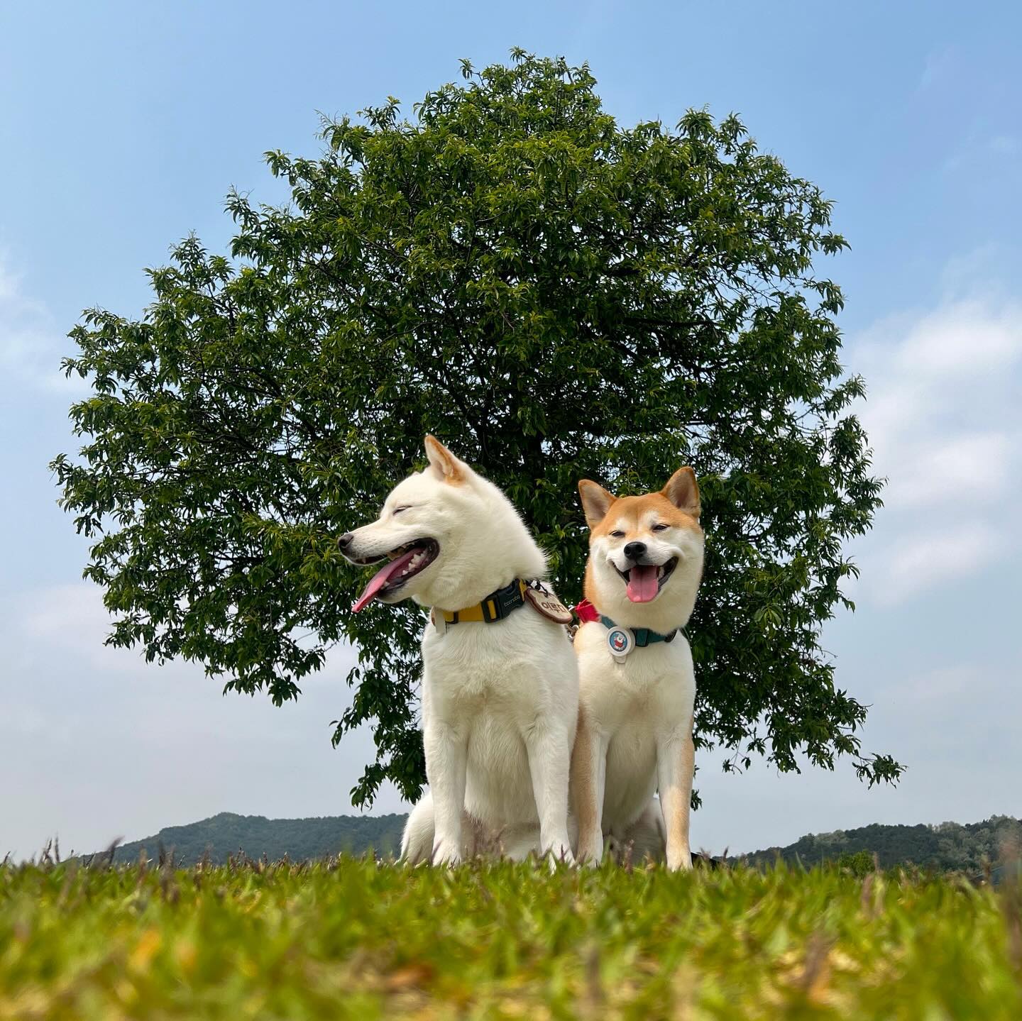 비오기 전 등산완료🙌🫶