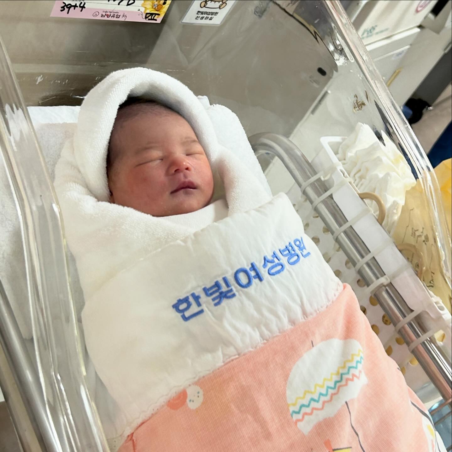 24.03.05 카오탄생👶🏻🎉

3.09kg , 작디작았던 아기💗 
정기검진 예측무게만 보고 커서 힘들까봐 두려워했던게 너무 미안했다🥲🙏🏻
(엄마만 많이 찐거였구나~~~🐷💗)

✅정말정말 엄마되기 힘들었던 분만후기(기억이 벌써 점점 흐려지고 있어서 기록해주기..📝)
3:30 이슬비침 사이드스쿼트5번 하고 나비자세좀 하다가 다시자려고 누움
4:00 핸드폰으로 이슬후 분만에대해 서치하는데 아랫배복통이 시작됨 진통어플주기체크 불규칙적이지만 약 10-13분간격 (중간에 배변감인가 싶어서 대변2회)
5:00 진통이 점점 세짐
5:05 샤워
 샤워하면서도 진통이 계속있음
5:40 분만실전화(증상이나 주기 물어봐서 이슬을 보았고 5분미만으로 시도때도없이 아프다고 했더니 아직 이르신데 일단 오라고함)
05:58 산부인과 도착(가는중에도 몇번 주저앉으면서 아팠음)
06:05 태동검사 후 내진함 5센티
06:35 관장(5분참으라하셧는데 집에서 두번이나 했단 생각에 4분참다 들어감)
06:50 무통주사(7-8센티 열렷다함), 이미 좀 진행된 상태라 무통천국은 못 봤음 😭
07:25 10센티 힘주기연습시작
아기가 안내려옴,,,->이때가 넘 고통스러웠던...... 허리,골반,배 통증이 싸악왔다가는 순간이 너무너무너무 아팠다.... 힘을 주는걸 못해서 온몸에 힘줬던 게 아기를 내보내는게아니라 꽉 쥐려고했던게 아닌가 싶은 내 제일 큰 실수🥲
10:40 분만시작 
의사선생님과 배 눌러주시는 간호사선생님의 힘으로.... 끙!!!🤢
10:48 분만완료👶🏻🎉

✅그리고 분만 후.....❤️❤️❤️
그때의 고통이 어이없고 무색할 정도로 너무 괜찮고... 너무 잘먹고 너무 잘 싸고있다.......... 
이게 자연분만의 매력인가...🥳💗
의사선생님 간호사선생님 너무 감사합니다🥰🫶🏻
뒤에서 걱정하고 포기하지말라던 카오아빠 미냐비도 고생했어용😍❤️
.
.
.
#카오일지 #카오탄생 #출산 #분만 #출산후기 #분만후기 #자연분만 #자연분만후기