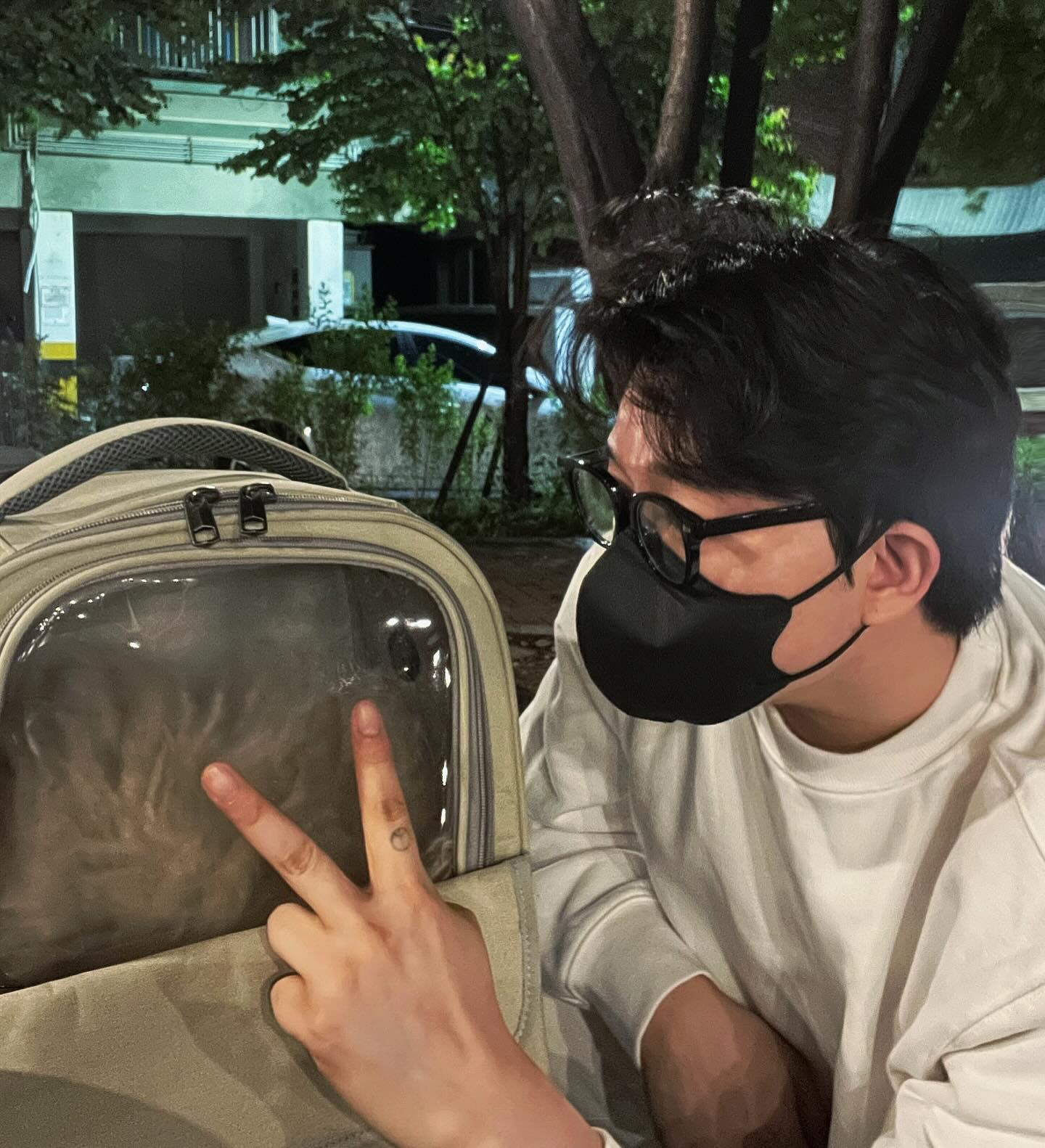 콘텐츠