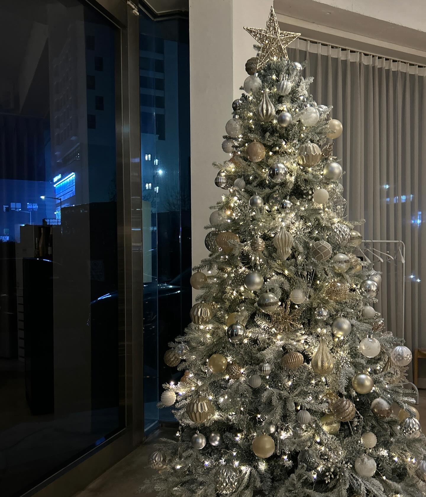 🎄