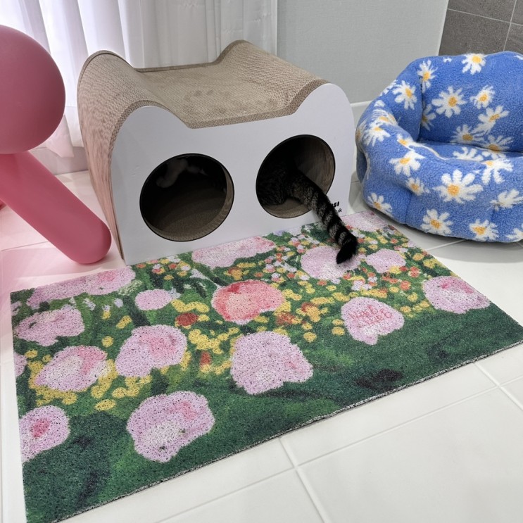 가티가티 고양이 사막화 예쁜 모래매트 있어요!