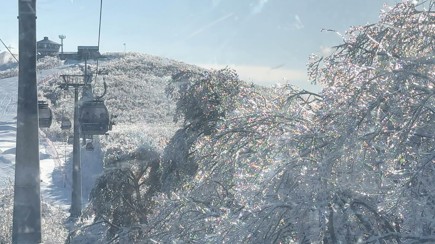 자연이 보석이야 🫧❄️🧊💎💍
카메라에 십분의 일정도만 담기네