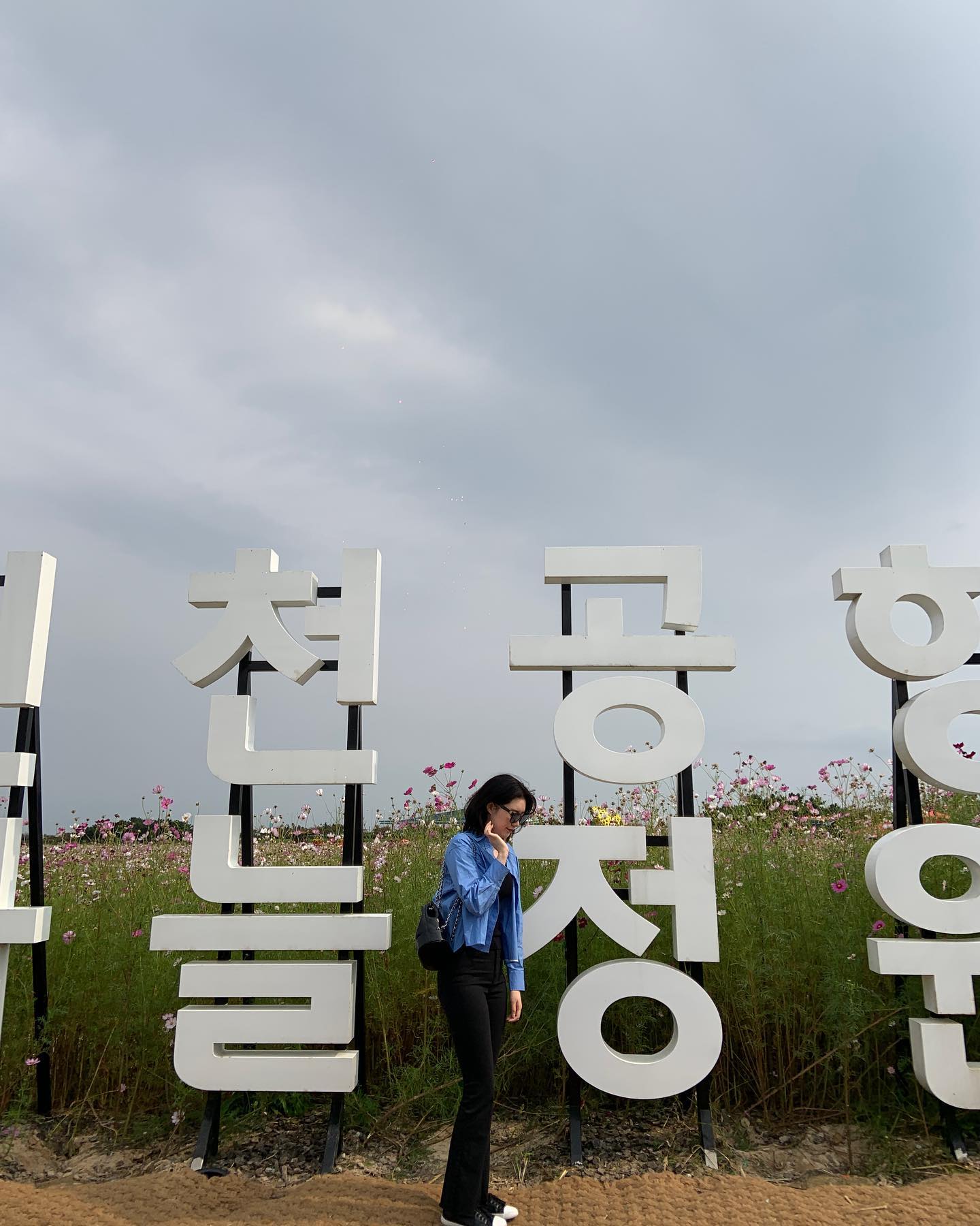 10월의 코스모스🌼🌸