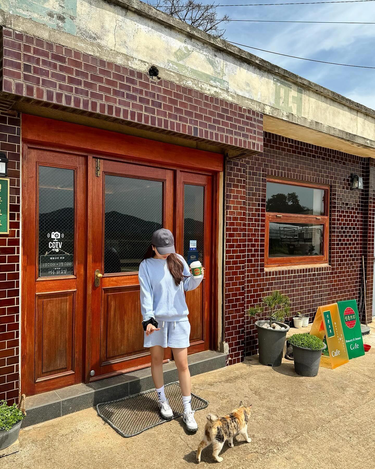 #신촌브루 🌳

실패 없는 완벽한 카페 ☕️,,
커피도 맛있고 디저트는 더 맛있는곳 ✨
