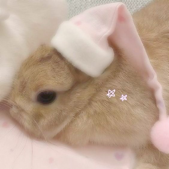 콘텐츠