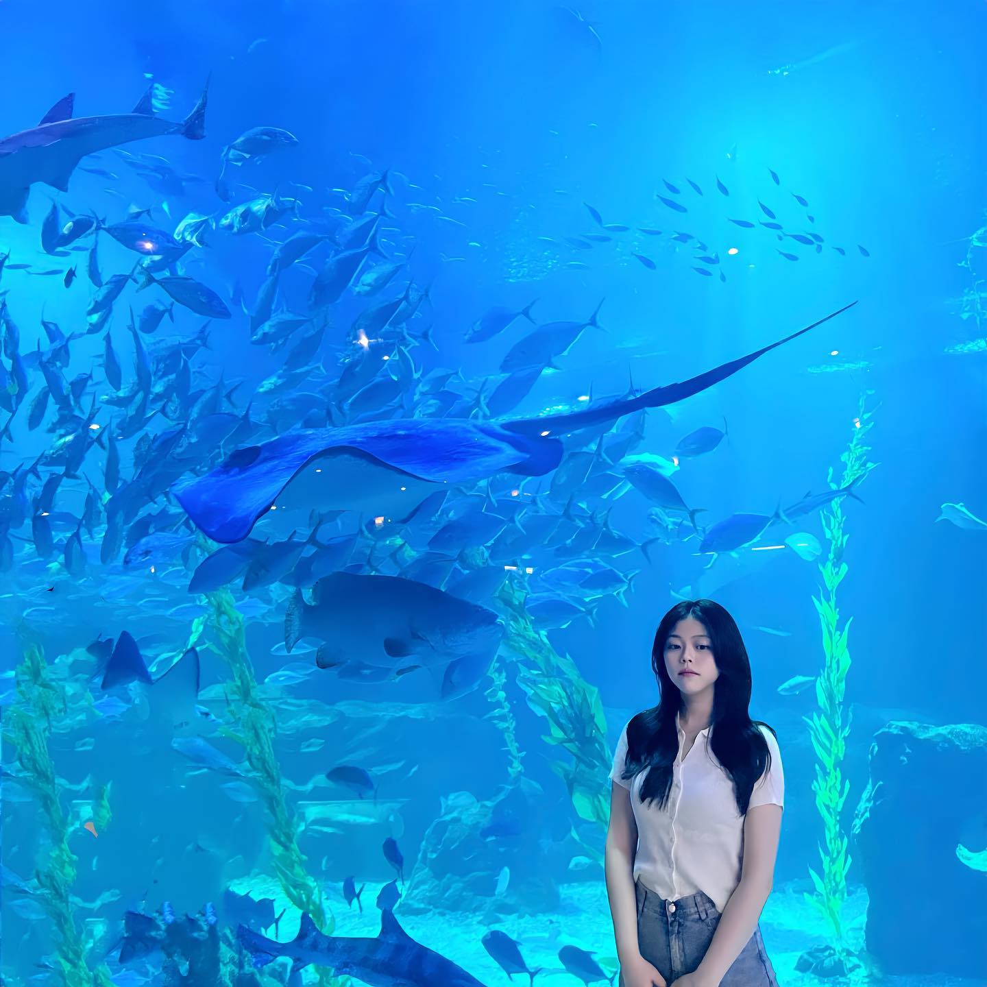 다시 가고싶은 제주도✈️