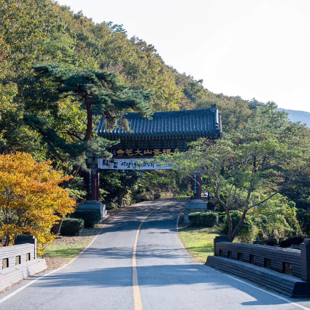 자연경관이 좋은 전남해남군!
주변에 볼거리와 즐길곳이 많더라구요

그곳에 플러스무인텔에 하루 숙박을 했어요 :)
인테리어가 오! 호텔만큼이나 깨끗하고 
인데리어도 맘에 들더라구요

전객실 리모델링한곳이라
노천탕!  스타일러! 등등 객실에 구비되어 있고

무인텔이라 편한하게 이용하는게 맘에 든곳이예요 ♡

- 주소 : 전남 해남군 해남읍 고산로 134-13
- 홈페이지 : www.플러스무인텔.kr
- 전화번호 : 061-535-5555

#협찬 #플러스무인텔 #해남여행 #해남숙박 #해남모텔 #해남무인텔 #해남부띠끄호텔 #노천탕 #새로운욕조 #각객실스타일러 #명사십리해수욕장