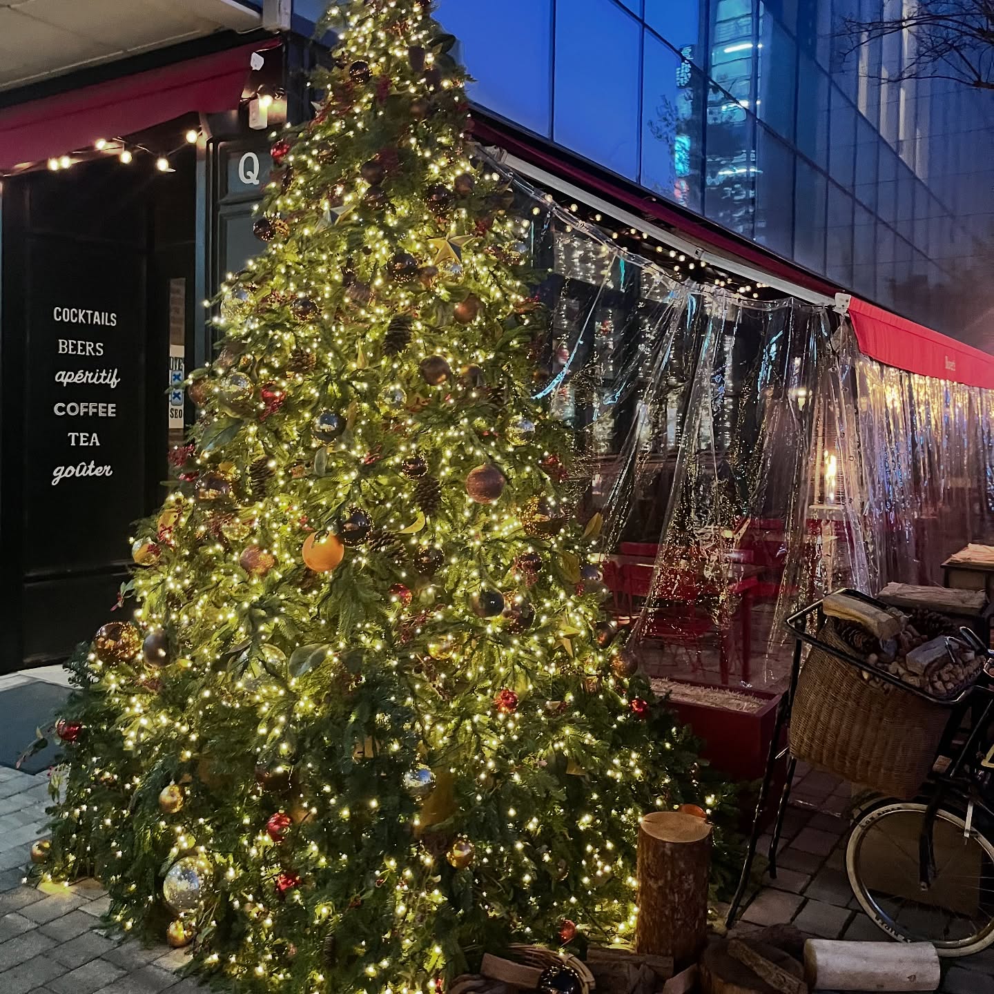 연말 느낌 냥냥 🎄🕯️ #부베트