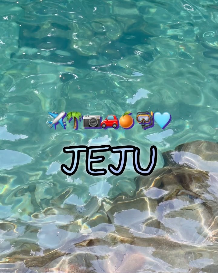 Jeju🍊🌴🤿🩵