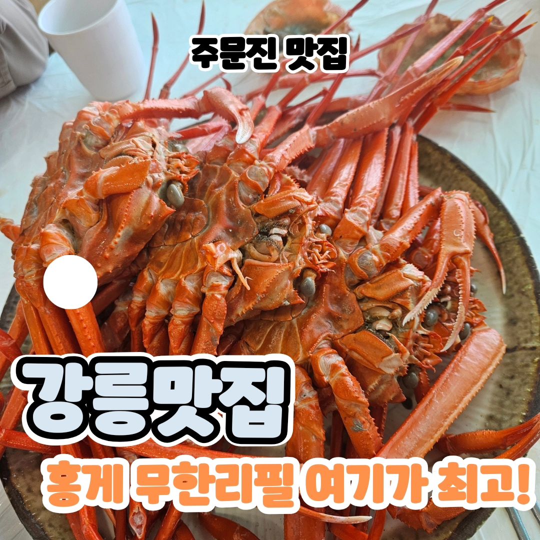 #광고 수율쩔고 크기쩌는 주문진 홍게무한리필집 발견!
진짜 홍게무한리필이라하면 
너무작거나 수율모자란것 주는 곳이 많아서 

리아네는 항상 주문진 어민수산시장가서 직접 고르고 
직접찜해서 먹곤 했었는대 ! 

진짜 이제 안그러려고요 😚
왜냐? 맛도 수율도 크기도 어민수산시장이랑 비교하면
훨씬 퀄좋고 물회까지 서비스나오고요 😍
수산시장에서 사서 찜비까지 하는것보다 저렴하고 
집에서 일안벌려도되니 깔끔 쾌적하게 맛볼수있고요! 

홍게크기 진짜 몸통기준 제주먹보다 다 크고 
다리수율 끝장... 가위질필요없음!! 
그냥 똑똑 부시면 살이 쏵 빠져나옵니다 

**선주직송 자연산홍게이고 직접 어민시장에서 수산도 하시는곳이라 저렴하게 퀄좋은홍게를 먹을 수 있는거였어요!

리아파파 야무지게 빼먹는거보소!!
2시간동안 무한인대 세판먹고 배터질거같아서 
홍게라면은 포기하고 게딱지볶음밥 하나로 퉁!

이제 강릉여행 주문진여행가면 무조건 여기서 홍게먹을거에요
강력추천입니다 후회안하실거에요 👍 

그리고 물회도맛나지만 미역국 맛도 기가막힘...!!!!!
다먹고 손씻는곳에 있는 손세정제도 사장님표로 만드신것 같은대
비린내 싹빠져서 너무 좋았다요 🤩

✔️주문진 상희네 횟집
강원 강릉시 주문진읍 해안로 1601

(도깨비촬영지 바로앞이라 오션뷰 보면서 먹을수있어서 더좋아요!)