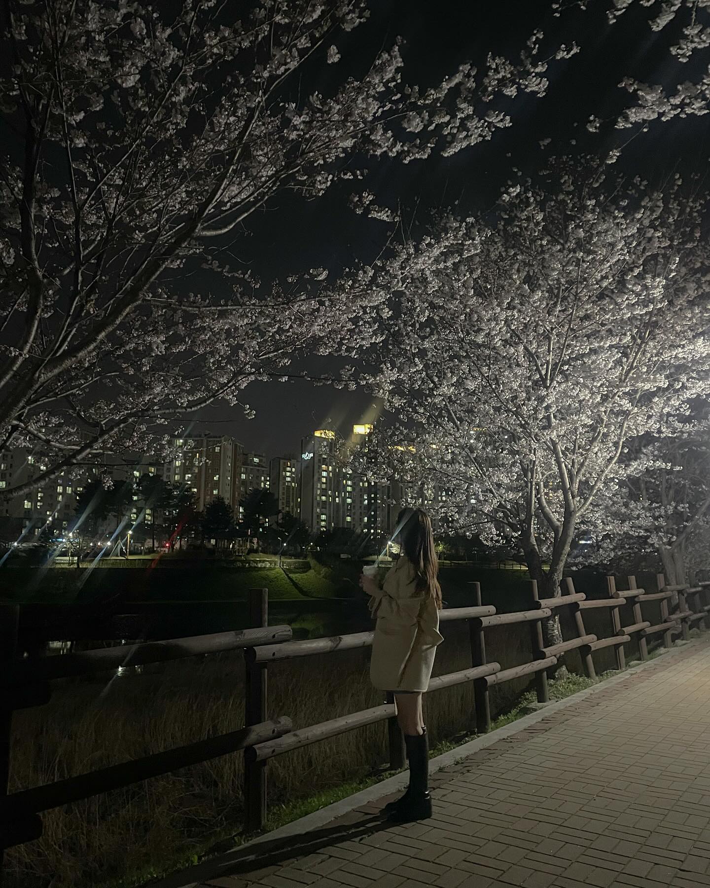 부지런히 봐조야지 🌸