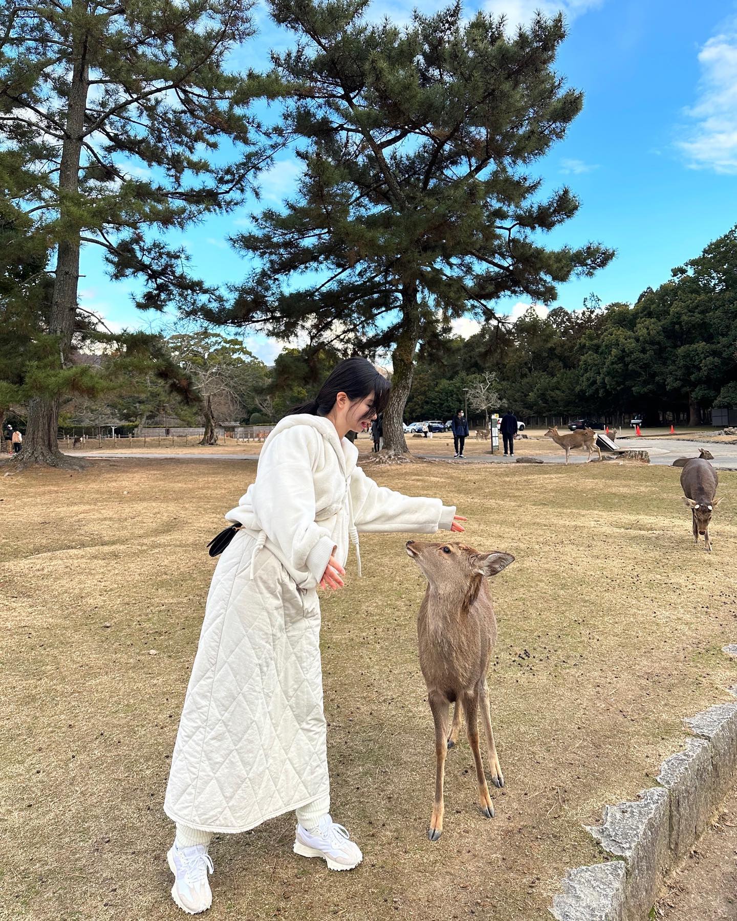 평화로움 그 사이 , 박치기🦌