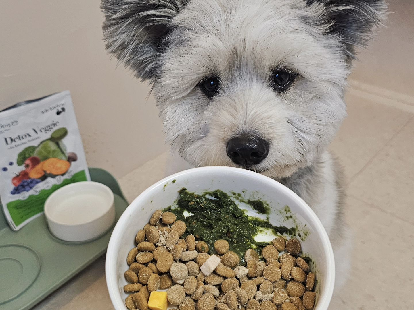 여행 중 먼지의 식사는 건강하면서도
맛도리까지 챙길 수 있는 #알로키친 과 함께에요🥦

✨️알로키친 디톡스베지✨️
•12종의 채소와 유산균이 한 블럭 안에
•천연 효소, 비타민, 미네랄이 풍부
•한 블럭당 11kcal로 몸도 마음도 가볍게
•물만 부어주면 어디서든 맛있는 퓨레로 변신

건사료의 토핑용으로 먹고있는 먼지는
1~1.5개 정도 넣어서 먹고있어요

활동량이 많은 여행시 특식을 주고 싶을 때
상할 걱정없이 간편하게 먹을 수 있는 디톡스베지!

기존 사료에 영양도 챙기면서
맛있는 걸 첨가해주고 싶은 분들에게
먼지가 추천드려여🫶🤍

🔖arlokitchen_official
#제품제공 #협찬