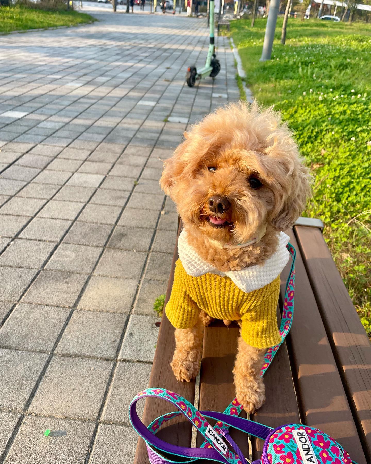 가을 남자 동구 (˵ ͡° ͜ʖ ͡°˵)🧸🍁🍂

#동구 #가을룩