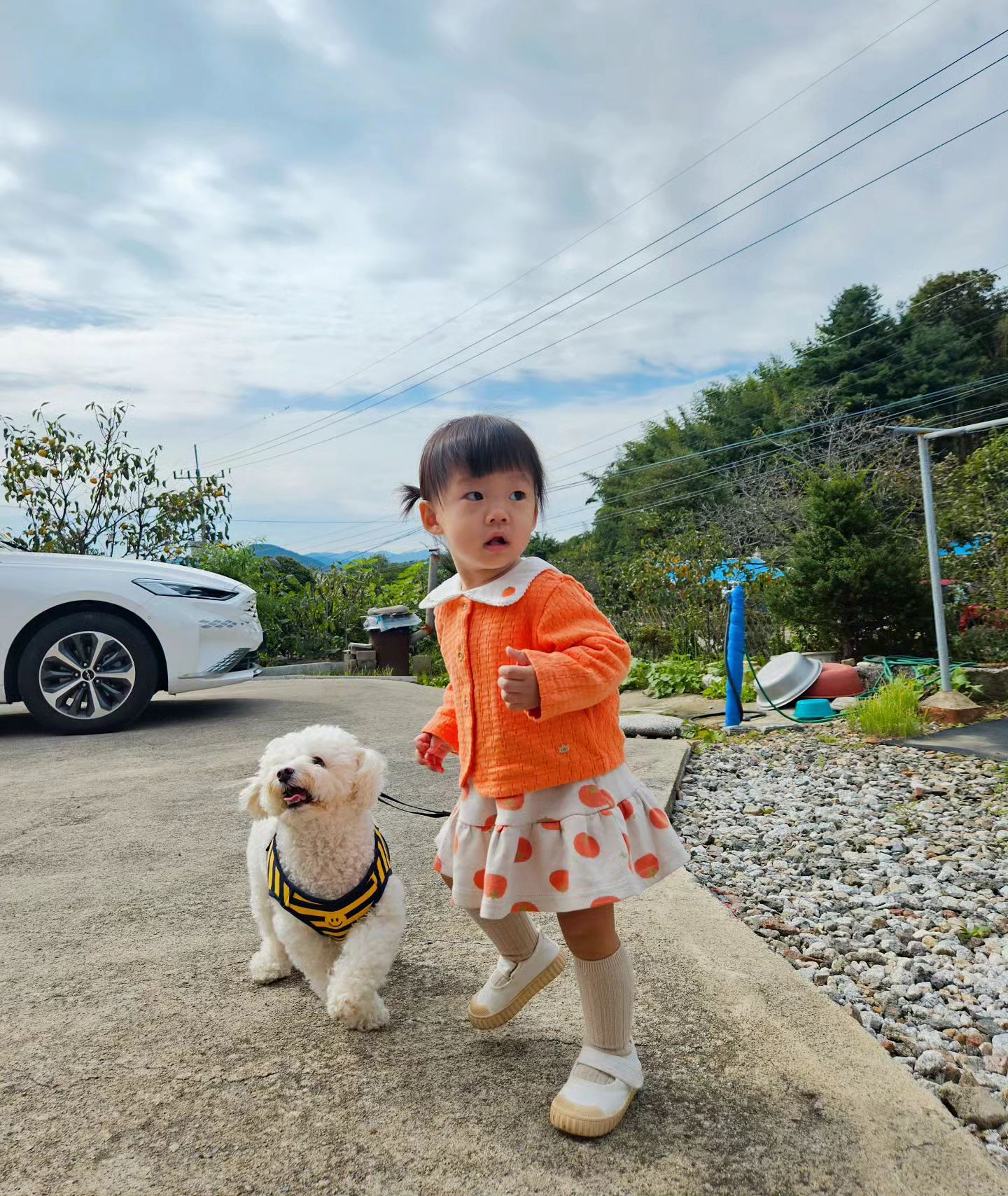 신난 솜사탕과 감귤🤍🧡

#귀욤뽀짝
#내새꾸들
#하이텐션