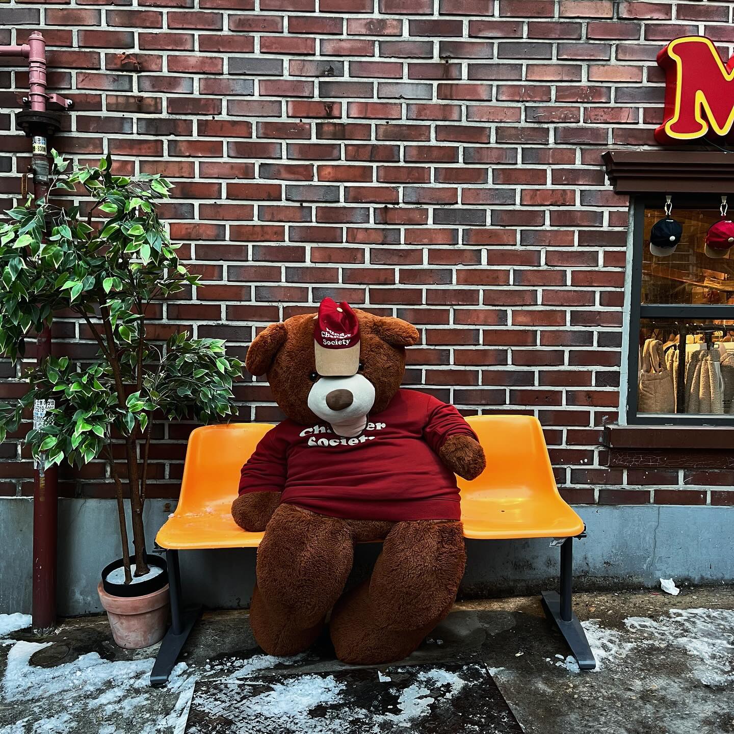 🐻🧸

사진의 장점은 보는 사람마다 느끼는게 다르다는것
내가 느낀건 쓸쓸한 곰돌이