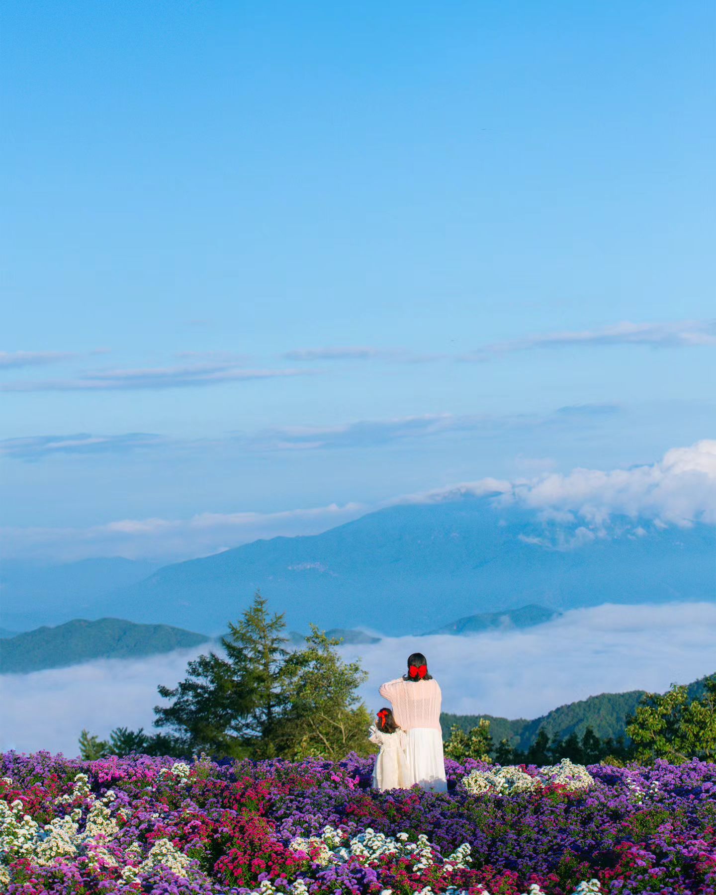 💜💜역대급 보라 세상 감악산 아스타 데이지 🪻

📍감악산 풍력발전단지 
🗓거창 감악산 꽃&별 여행축제 09.13 - 10.13
✔️역대급으로 아스타 데이지 풍년으로 올해 꼭 방문해보세요! 

#경남여행 #대한민국구석구석 #아이랑여행 #감악산 #아스타데이지 #거창 #거창여행 #국내여행 #travle #korea