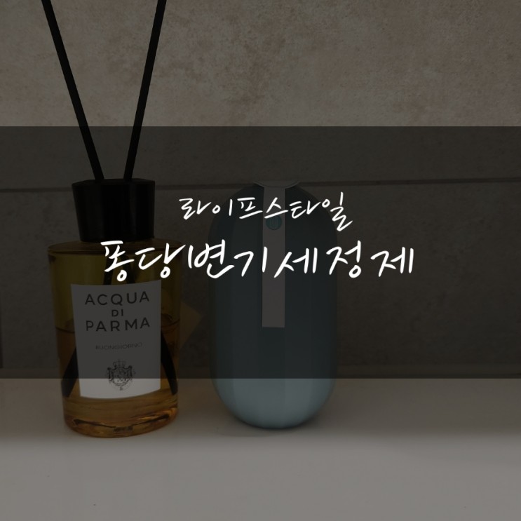 [라이프스탠다드] 워킹맘의 시간과 체력을 아껴주는 퐁당 변기 세정제