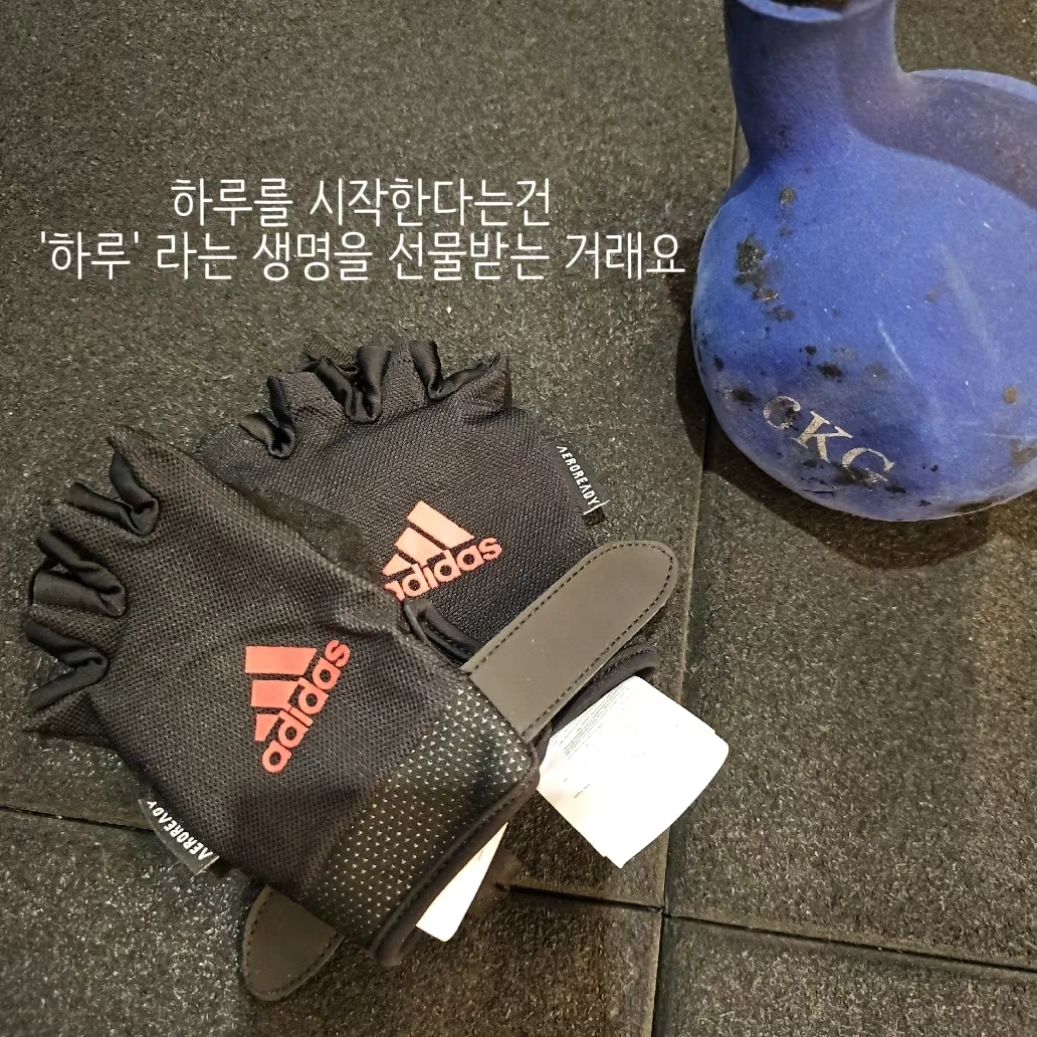 #협찬 2024년 시동걸었죠?
월요일 같은 화요일이지만 기분좋은 #오운완

adidasfitness_kr_  에서  헬스장갑을 보내주셔서
더 기분좋게 운동한거 같아요💪

작년에 헬스장갑 하나 필요하다고 생각했었는데
#아디다스 에서 마침 보내주셔서 완전 감동 감동🩷

오늘 상체데이였는데
손목도  벨크로가 딱 잡아주니까  안정감있고
바닥이 스웨이드 재질이라서 미끌림 없는것도 쵝오👌
운동하다보면 손바닥에도 땀나잖아요?
통풍도 짱짱되는 장갑이라서  넘 상쾌하게 운동했어요!

🏷손가락 사이에 당김끈 있어서 은근 요긴하게  편리하더라구요.

헬스장갑 컬러도 다양했는데 레드가 딱 이뻤어요!
여러종류 헬스장갑은
adidasfitness_kr_ 에서 보세요🙌

🐲푸른용은 신화속에서 생명의 시작을 알리는
수호신의 뜻을 갖고 있대요.
2024년 살아있는 생명에너지
가득한 해였으면 좋겠어요🩷

살다보면 물건이든 사람이든
놓치고 싶지 않은 게 있죠?

'놓치면 손해' 인 사람
금수저언니는 그런사람이 되고 싶어요.

부릉부릉💨 새해 시동걸었뜹니다!!

➖️➖️➖️➖️➖️➖️➖️➖️➖️➖️
건강한 나를 위한 비움과 채움 꿀팁
geumsujeo_

🟥도움이 되었다면 📂저장
🟦생각나는 친구에게 ✈️공유
🟨금수저언니의 다음 게시물이 궁금하다면👇팔로우
➖️➖️➖️➖️➖️➖️➖️➖️➖️➖️

#웨이트  #여자헬스장갑 #헬스장갑추천 #운동용품  #남자헬스장갑 #헬스하는여자 #다이어트소통 #아디다스정품 #아디다스피트니스
