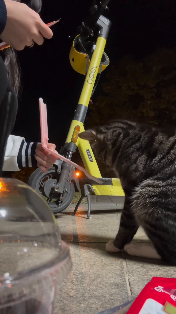 야식먹는 명삼이
#중앙대 #고양이 #귀여워