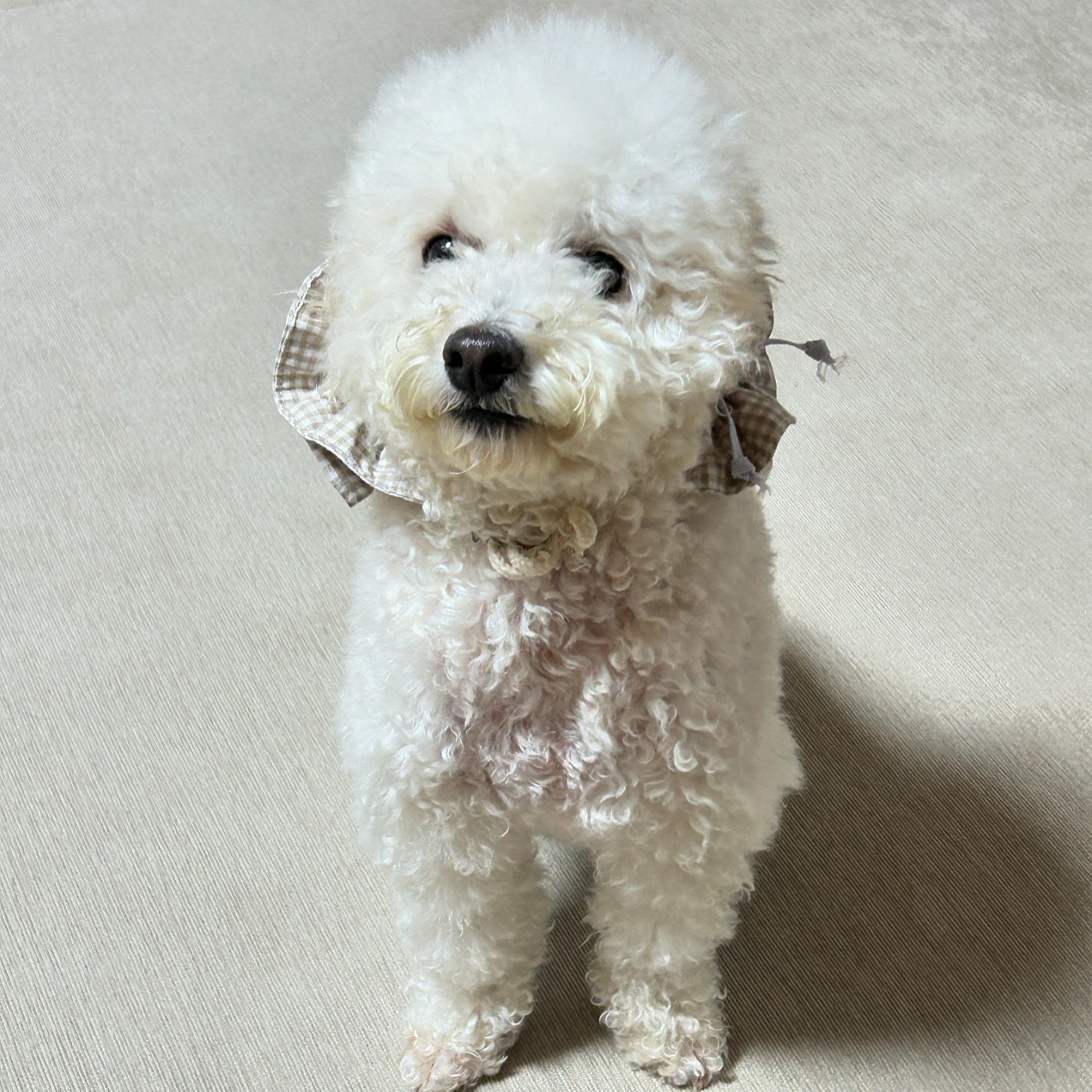 #스누드 한 짱구