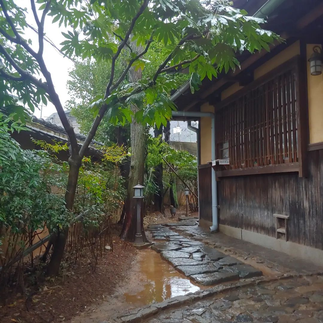 군산 여행
신흥동일본식가옥 봄이라 꽃도피고 
일본식가옥을 구경하고 정원도 멋져요