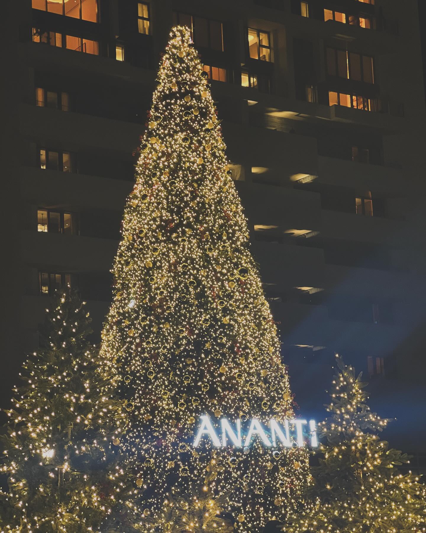 🎄
사람 많을꺼 예상했고 
그냥 구경만하는걸로 만족하러갔음 
블로그 기록도할꼄 ㅋㅋㅋ 
큰아들이 찍어줌 📸
빛반사가 우리부부를 살렸네 (ᗒᗣᗕ)ヾ(o˃‿˂o)ｼ
이젠 나이들어 뭐 ... 
사람없어도 이쁜사진 건지는건 무리더라 ㅋ
그래서 트리숲에
한번 들어가보는걸로 만족 🤣🤣🤣
.
크리스마스 같네 🤣🤣
,
#아이폰13 #아이폰13promax #아이폰카메라 #아이폰 #투아들맘 #투아들맘일상 #일상 #데일리 #팔로우 #팔로워 #주부 #맞팔 #선팔 #셀피 #일상 #좋튀 #좋반 #동부산 #트리숲 #사람너무많음 #평일추천 #크리스마스 #트리