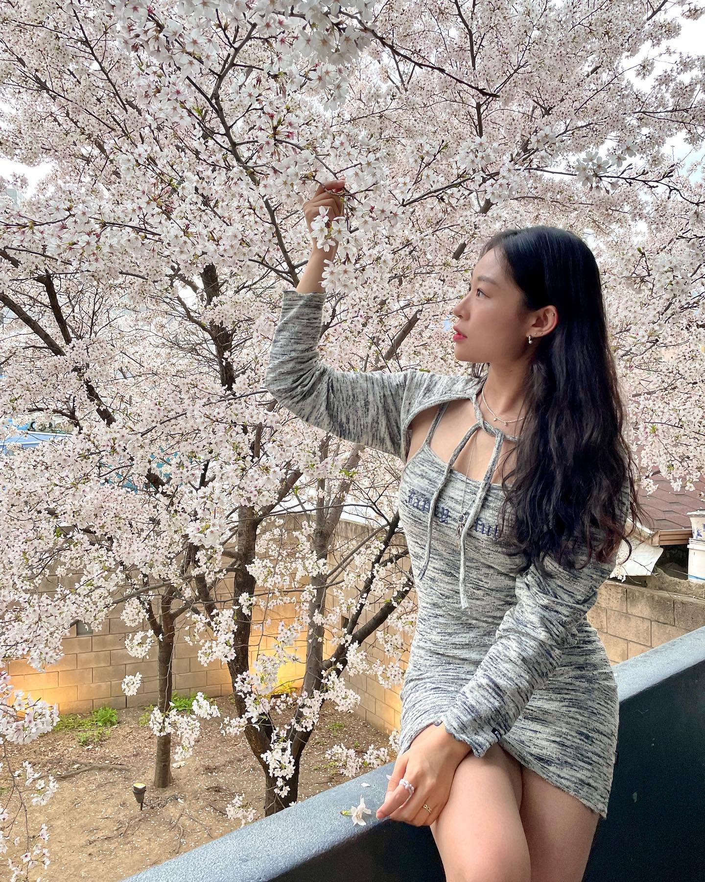 1년 묵혀서 찍사 복장 터트린 사진풉니다🤓🌸