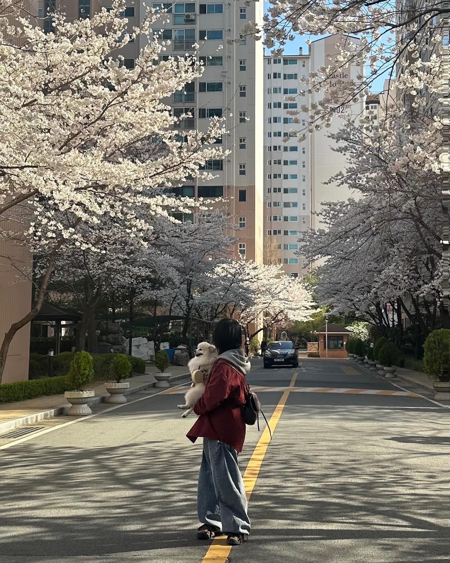 내동생이랑🐻‍❄️🌸