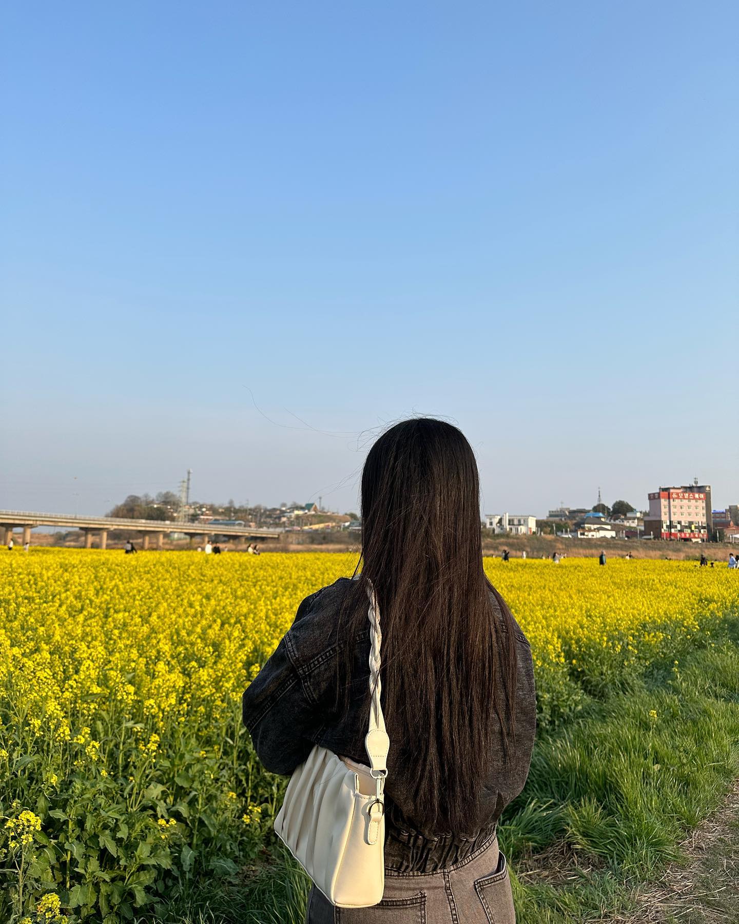 봄 꽃 구경🌸🌼