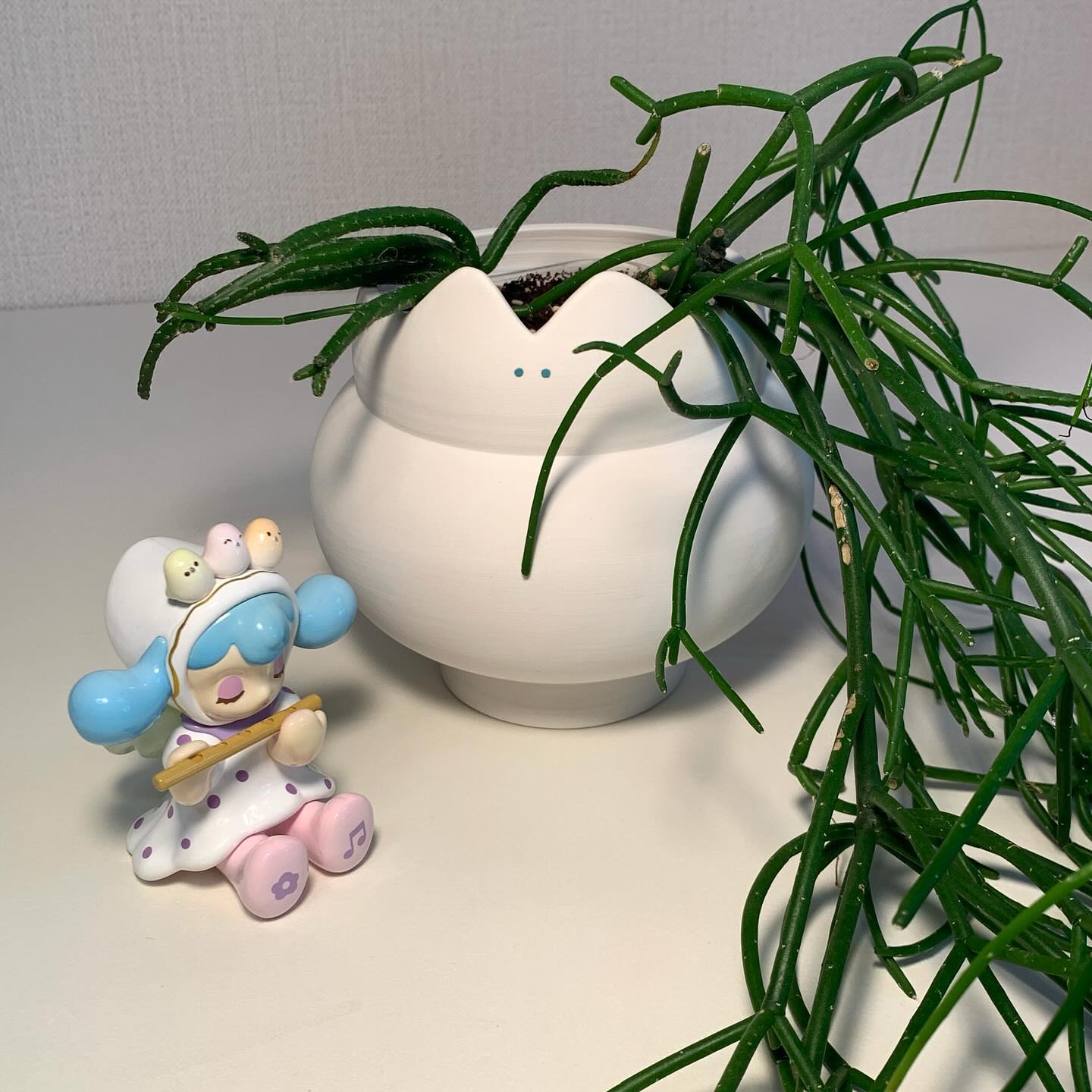 🌿🐈‍⬛🤍