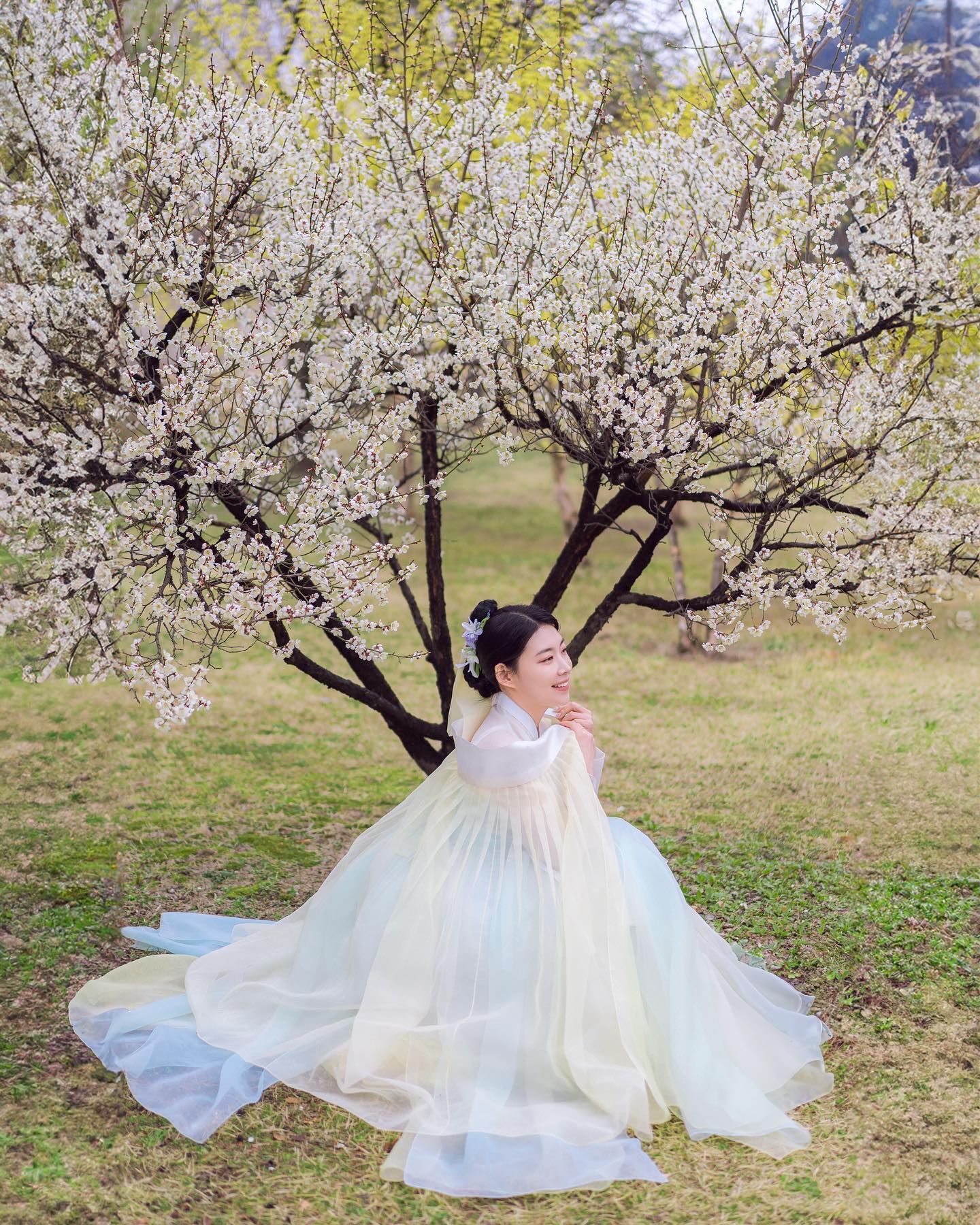 경복궁은 지금 산수유와 매화가 만개했답니다🌼
고궁마다 개화속도가 달라서 당황스러워요><💦