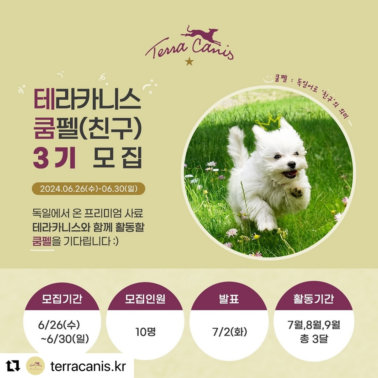 #Repost terracanis.kr with use.repost
・・・
테라카니스 쿰펠 3기 모집 💛 독일에서 온 프리미엄 사료, 100% 휴먼그레이드 퀄리티 - 테라카니스와 함께 활동할 쿰펠(친구)을 모집합니다!

✔️ 테라카니스 브랜드 및 제품에 대한 애정이 많으신 분
✔️ 인스타그램 및 SNS(블로그, 유투브) 활동이 활발하신 분
✔️ 반려동물의 건강한 식사와 영양 관리에 진심이신 분

모두 환영합니다 😊 많은 참여 부탁 드릴게요 ✨

⏰ 일정
- 모집 기간: 2024/ 06/ 26(수) ~ 2024/ 06/ 30(일)
- 최종 발표: 7/2(화)
- 모집 인원: 총 10명
- 활동 기간: 7, 8, 9월(총 3개월)

🐶 지원 방법
1. terracanis.kr 계정 팔로우
2. 프로필 링크의 설문지로 쿰펠 3기 지원하고
3. 본 게시글에 지원했다는 댓글 남기기

+) 게시글 리그램 시 당첨 확률 UP!!

#강아지사료 #테라카니스서포터즈 #강아지서포터즈 #강아지사료추천 #테라카니스 #쿰펠