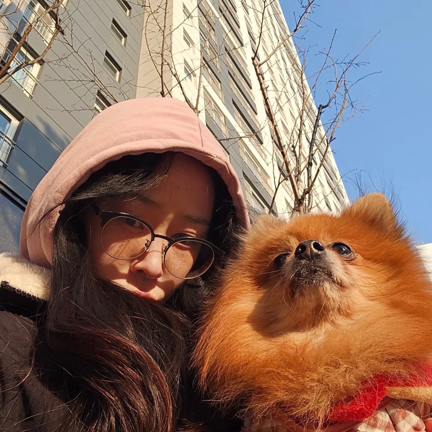 #2012년생 #포메라니안 #일상 #개와함께 
#pomeranian #dog #animals #생얼 #얼굴몰아주기

여전히 건강하고, 여전히 애같은 폴이에요♡
폴한테 얼굴 몰아주기.
사실 몰아주기 안해도 너는 빛이나는 솔로~🥰

2013.3.31 폴 만날 날♡ 7개월쯤되었다고 들었어요.
첫주인에게 파양당한 친구라 그런지
저랑 잠깐만 떨어져도 불안해하는...🙀

그러고보니 첫째랑 한살차이인줄 알았는데..
2살터울이엿네요ㅋㅋㅋㅋ 두살오빠 폴🤣

아직 총각이라 그런가 나만 나이먹는것 같고,
폴은 나이를 안드는것 같아요. 🥰

폴아, 오래오래 건강하고 행복하쟈!😍