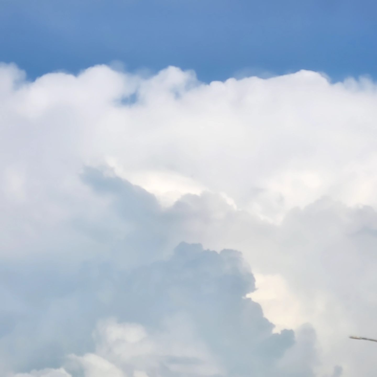 구름이 예뻐서 세차해써.. ☁️ 🤍