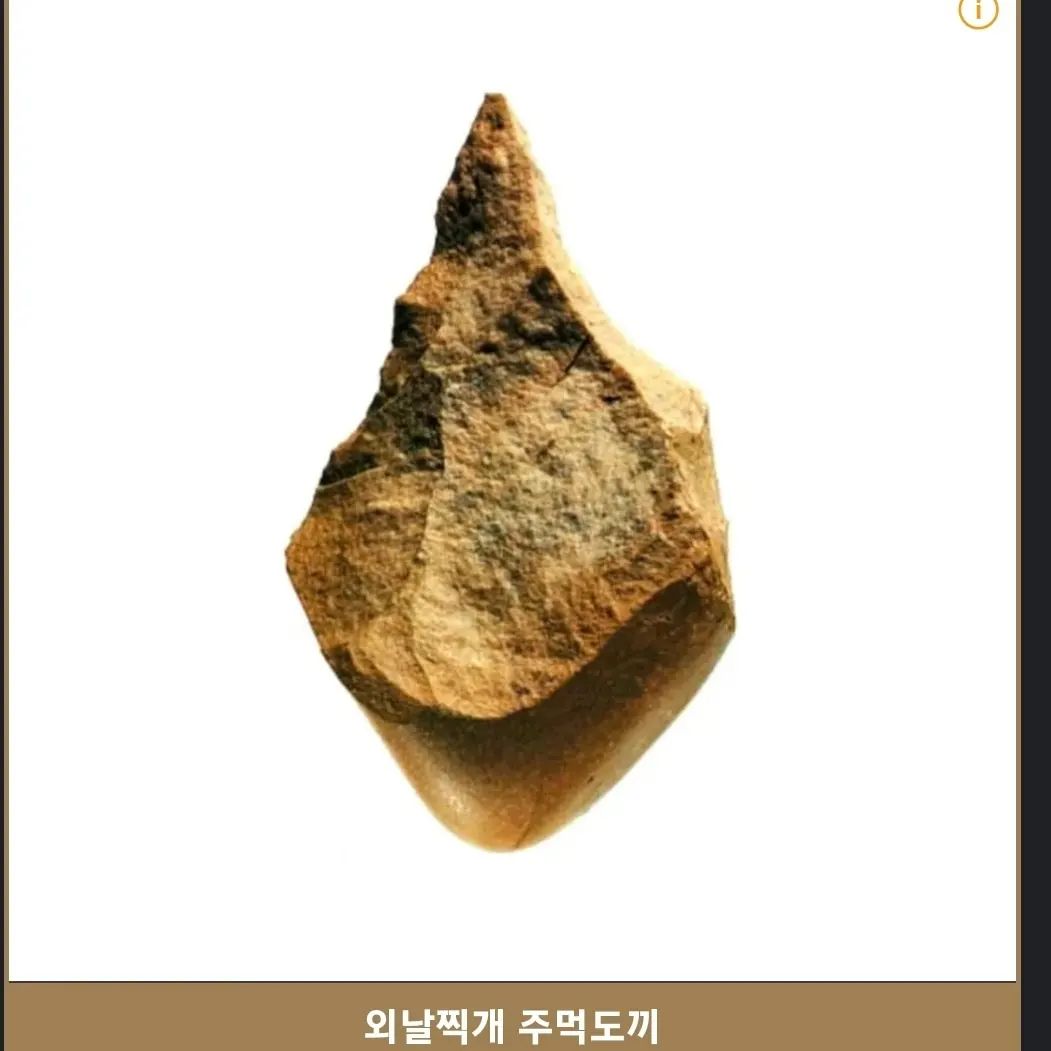 주먹도끼2ㅡ종류
주먹도끼의 형태는 약 20종류가 있으며 시대에 따라 각각 특징적인 것이 나타난다.
대표적인 형태로는
아베빌식(Abbevillian; 프랑스 솜므강변의 유적, 아주 조잡한 초기형)
창끝형(lanceolate; 중세 기사가 쓰던 랜스와 비슷한 모습)
타원형(ovate; 첨두부가 미약해서 계란형에 가까움)
행인형(amygdaloid; 두꺼운 주먹도끼로 아몬드처럼 생김)
넙치형(limande; 다소 길고 광어와 흡사하지만 측면날 부위가 평행에 가까움)
긴심장형(elongated cordiform; 최대폭이 중간 높이보다 살짝 아랫부위에 위치하는 얇은 주먹도끼)
미코크식(Micoquian; 프랑스 서남부 Le Micoq 유적에서 유래, 측면날 부위가 오목하게 파여서 어깨가 발달한 두꺼운 주먹도끼)
* 그 밖에 보트형(naviform), 피크론형(ficron; 솜므강 유역 뱃사공이 쓰는 막대기의 끄트머리), 라겐형(lageniform; 라겐은 지중해 지역의 물주전자를 말함), 삼각형(triangular) 등이 있다.

그런데 이런 다양한 주먹도끼는 프랑스 북부를 비롯한 유럽이나 아프리카에만 있고 한국을 포함한 동아시아에는 아주 두껍고 거칠게 만들다 만 형태만 발견된다.

#역사를잊은민족에게미래는없다
#역사
#구석기시대 
#주먹도끼
#좋아요 #나무위키