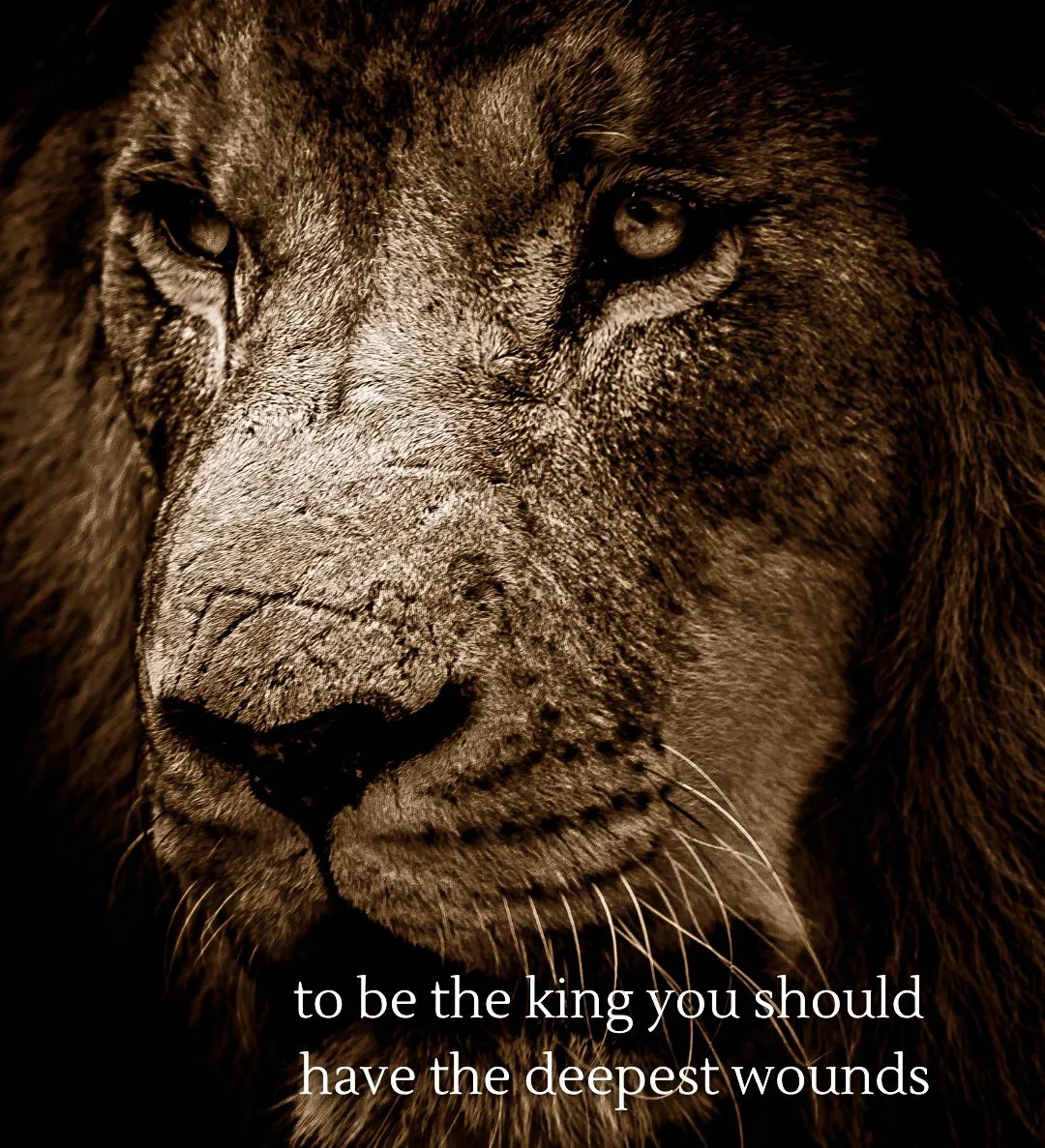 #motivation #wisdom #instagram #wisdomquotes