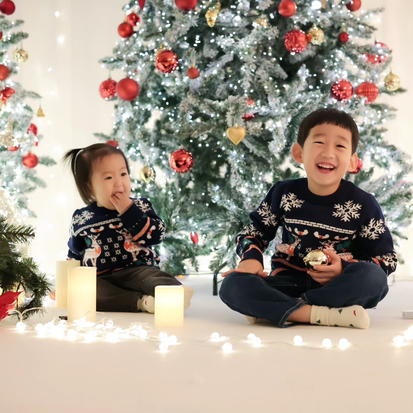 ❤️❤️❤️
.
삼형제의 스튜디오 출현은 항상 스펙타클한 서바이벌인데
.
이번에도 그랬어요.
말이 안통하는 1세
말이 통하나 듣지 않는 6세
말이 통하는거 같은데 선택적 반인반견 12세
.
저는 안드로메다로 갔고 저기 없었네요.

.
그래서 작가님께 더 감사합니다 👍🏻💕
.
.
#애개육아 #셀티 #셔틀랜드쉽독 #견주교육필수 #셀티는사랑이죠   #개린이그램
#sheltie #shetlandsheepdog #sheepdog  #dogstagram  #dogmodel
.
EVERY DOG NEEDS TO BE EDUCATED. 
.
.
#하나님의선물 #사랑해 #황금개띠맘 #아들맘 #육아소통 #아들스타그램 #육아공유 #육아일기  #아기모델 #아역배우 #아기랑갈만한곳 
.
.
#슈프릴쥬
#셀티에이프릴