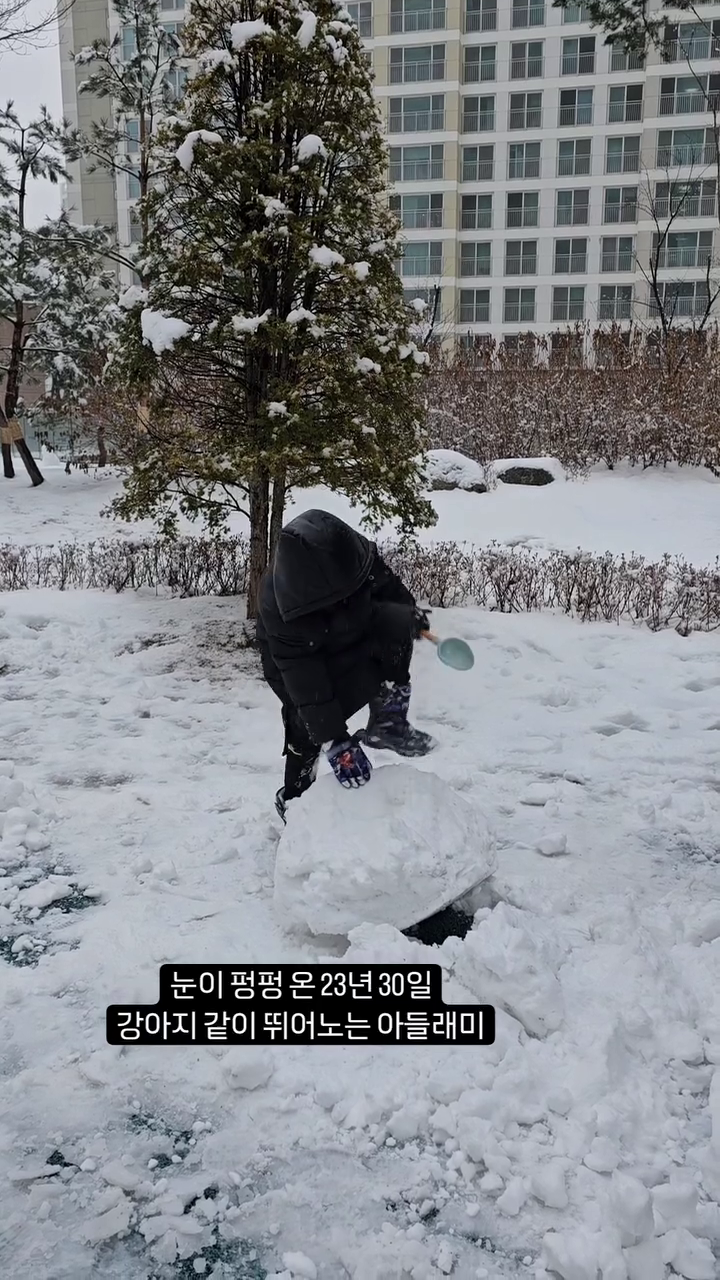 눈이 펑펑 오는 날에 강아지같이 뛰노는 서누
함박눈 오기만을 기다렸는데 소원성취했네
.
.
.
#눈오는날❄️ #함박눈과함께 #신난아들램💕