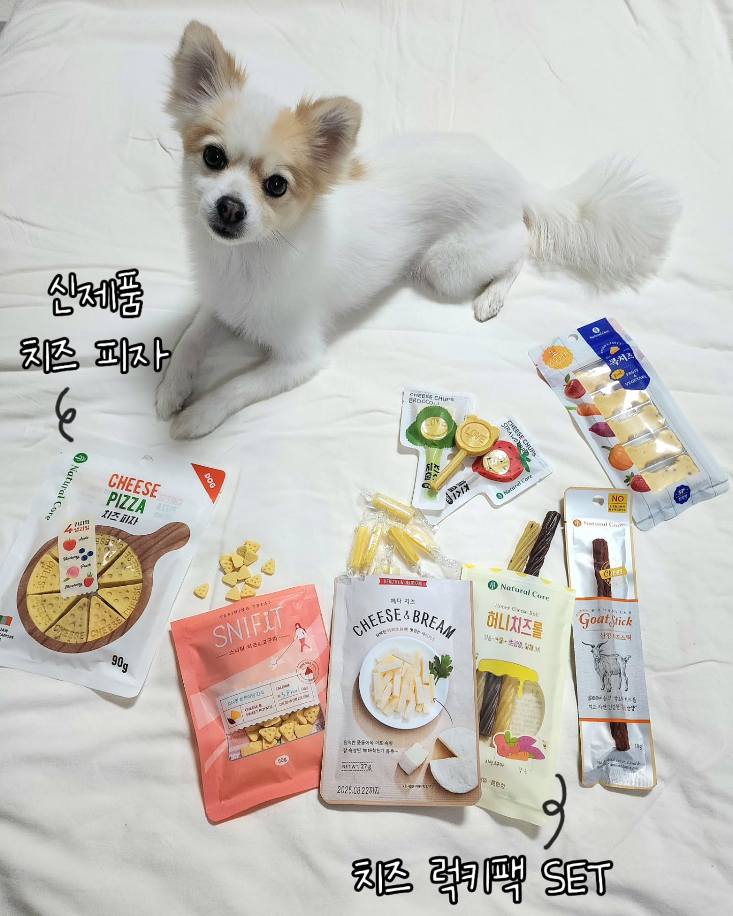 #협찬 #네츄럴코어 
은동이네에 맛있는 치즈🧀 간식이 도착했어용

선물은 6가지 치즈 간식으로 구성된 치즈 럭키팩 세트와
네츄럴코어 신제품 치즈 피자인데

✅️먼저, 치즈 피자는 생긴 것도 정말 먹음직스럽지만
단백질, 지방, 칼슘이 풍부한 이탈리아산 마스카포네 치즈에
비타민 가득 4가지 생과일 토핑으로 (딸기, 복숭아, 블루베리, 사과)
골라먹는 재미까지 있더라구! 🍓🍑🫐🍎

✅️뭘 좋아할지 몰라서 다 준비해봤다는 치즈 럭키팩 세트의 구성!

1. 퉁돔 어포와 저염 치즈로 만들어 낱개 포장된 [치즈 브림]

2. 치즈와 닭가슴살에 당근, 사과, 고구마, 딸기, 단호박을 넣어
  편식 댕댕이들도 잘 먹는 [콕 치즈]

3. 천연 아카시아 벌꿀과 크렌베리, 당근, 자색고구마가 들어간
  쫄깃한 치즈 야채 껌 [허니 치즈롤]

4. 체다치즈, 고구마, 요거트의 조합! 칼로리가 낮아 
  노즈워크, 칭찬용 간식으로 적당한 [스니핏 치즈&고구마]

5. 몽골의 자연에서 500가지 약초를 먹으며 자란 산양 고기에
  몽골 전통 아롤치즈가 함유된 [몽골 산양 치즈 스틱]

6. 닭가슴살에 발효 유산균 저염 치즈를 사용한 
  3가지 맛의 [치즈 춥스]

이렇게 알찬 구성에 기호성도 좋아서 
입 짧은 우리 은동씨도 정~말 잘먹고 있다구👏
치즈 좋아하는 멈머들은 꼭 한 번 먹어봐!😋
.
.
.
.
#강아지간식 #강아지간식추천 #강아지영양간식 #강아지영양간식추천 #반려견간식 #반려견간식추천 #기호성높은간식 #치즈간식 #강아지치즈