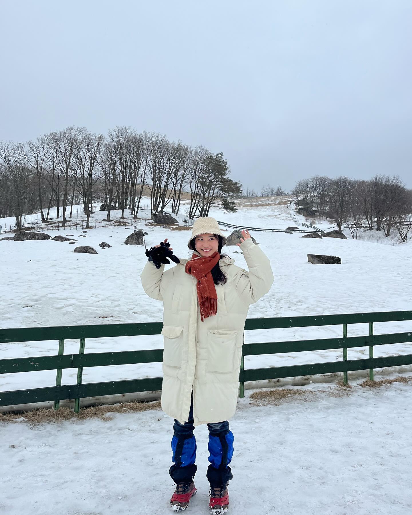 ❄️⛄️🐑