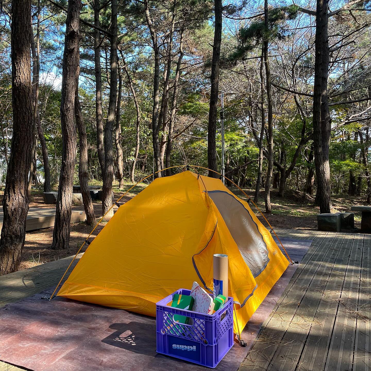 초초초 미니멀 캠핑⛺️
백팩킹용 텐트 하나들고 캠핑! 
카르닉 시에나 제품으로 너무 편하게 캠핑 다녀왔어요 👫🏼
미니멀 캠핑 한번 해보니까 텐트셋팅시간이 거의..30초?💜
앙증맞은 텐트에 플라이 칠 수 있어서 비와도 걱정 없어요🫶🏻 플라이까지 씌워놓으니 완벽한 백팩킹느낌~

업사이클링 제품들과 시에나텐트로 힐링 친환경 캠핑 즐겼어요~
업사이클링 캠핑제품 진짜 너무 예쁜거 아닌가요.. 완전취저..👍🏻

#카르닉 #시에나텐트 #ssup #미니멀캠핑 #백팩킹 #오토캠 #힐링 #업사이클링 #캠핑템