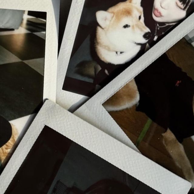  지수 on Instagram: "매 순간이 사랑스러운"