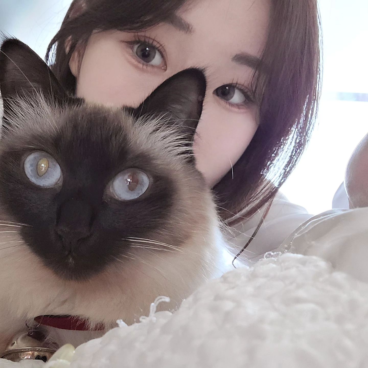 우리집 👸🐱 #발리네즈