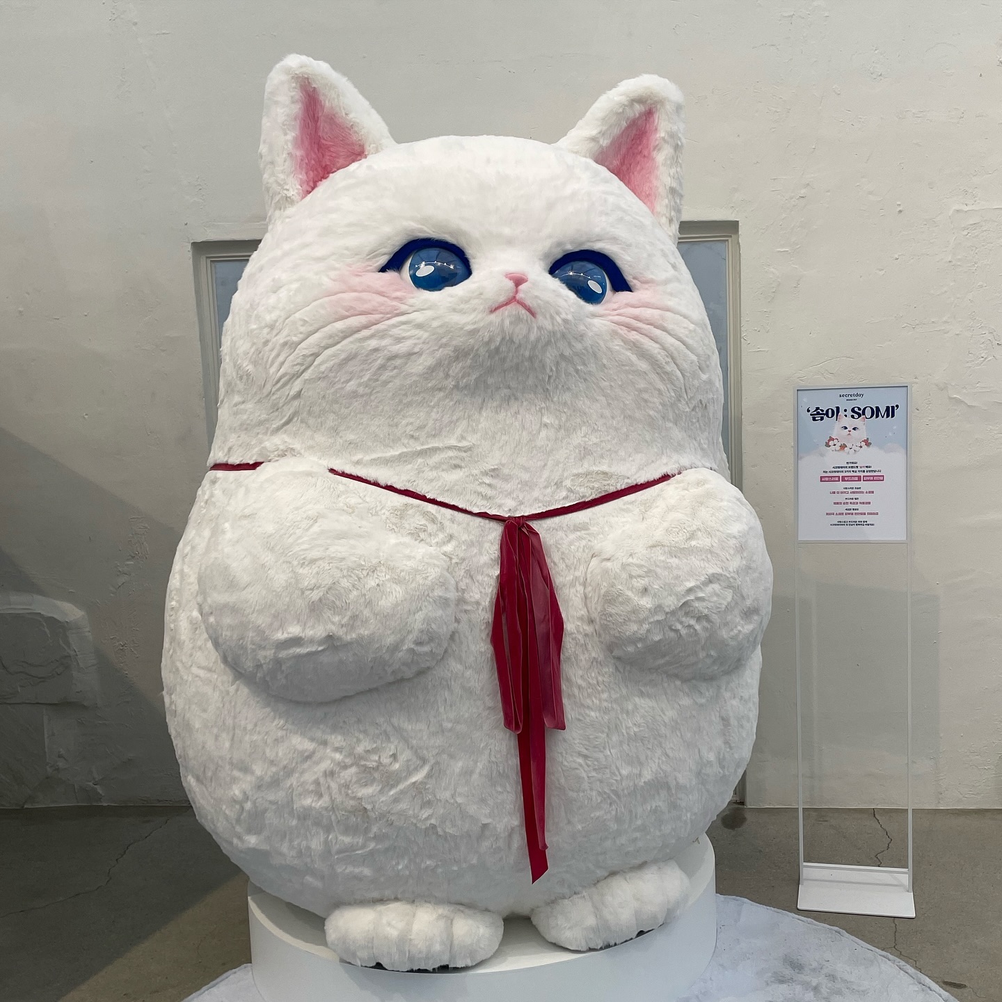 #시크릿데이 #생리대피팅룸